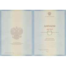 Диплом бакалавра 2011